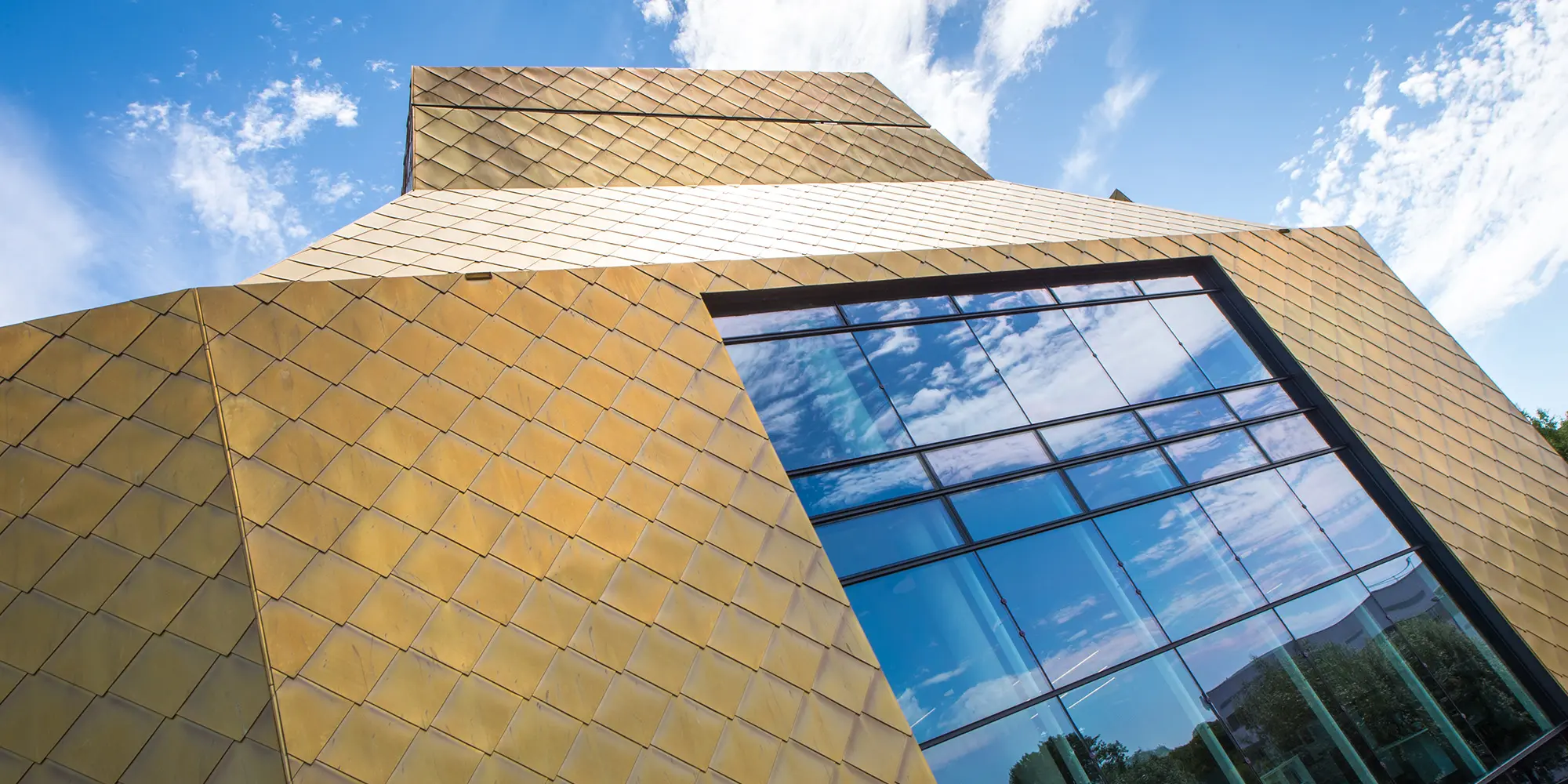 The Hive